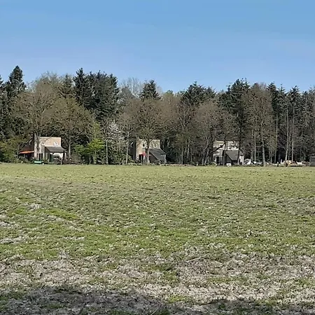 Huisjebloemenhart * Zelhem