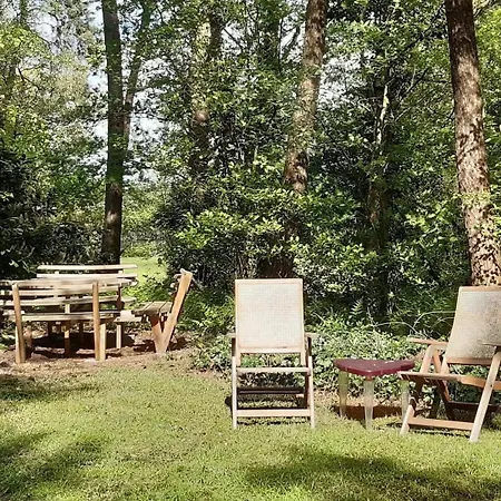 Holiday home Huisjebloemenhart *