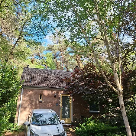 Huisjebloemenhart בית נופש